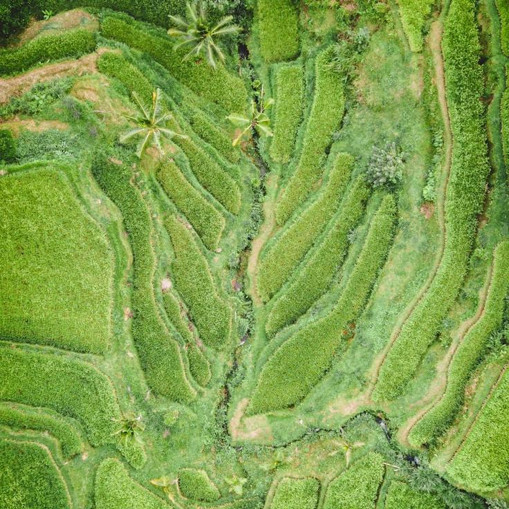 Family terraces and cafés for calm evenings in Paris